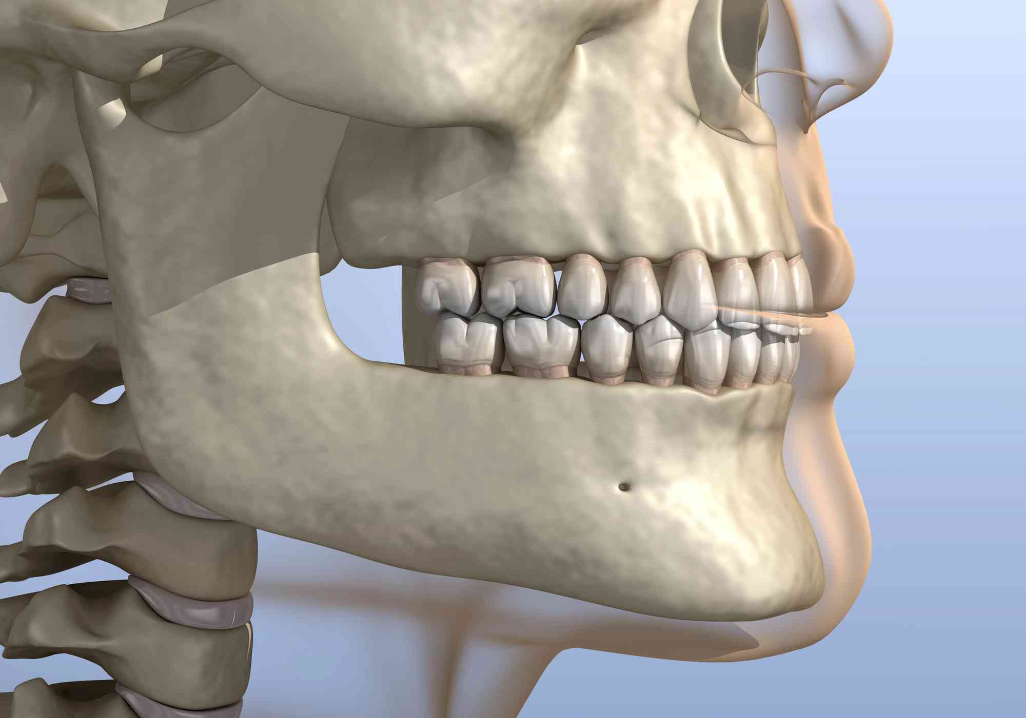 Osseous Surgery Palm Beach Gardens FL